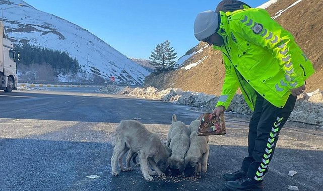 Refahiye&#039;de polis ekipleri sokak hayvanlarını unutmadı