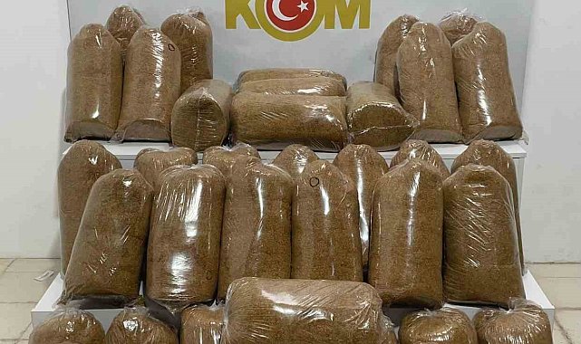 Samsun'da 200 kilo kaçak tütün ele geçirildi
