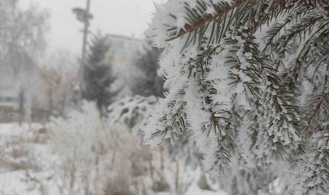 Sibirya soğukları Ardahan'ı dondurdu
