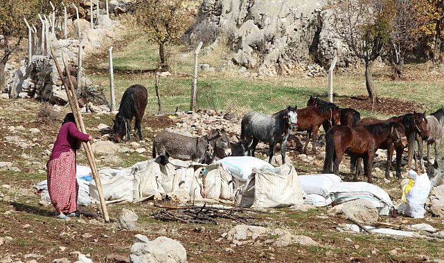 Şırnak'ta göçerlerin kışlaklara doğru zorlu yolculukları devam ediyor