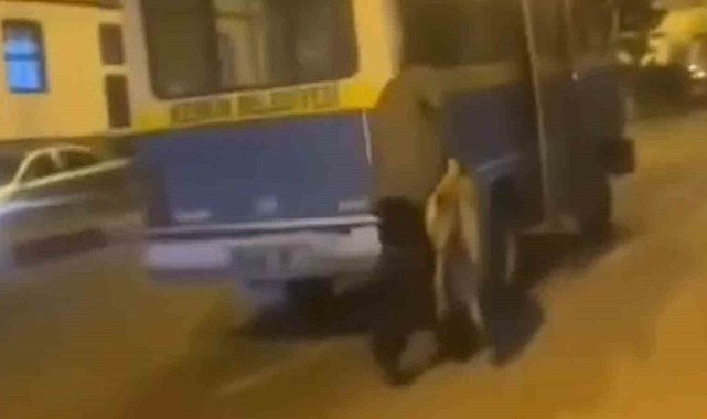 Sokak köpeğine yapılan müdahaleye tepki: "Bırak" çığlıklarıyla engellemeye çalıştılar