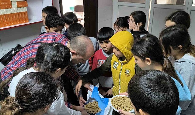 Sokak sokak gezip, sokak hayvanlarını besliyorlar