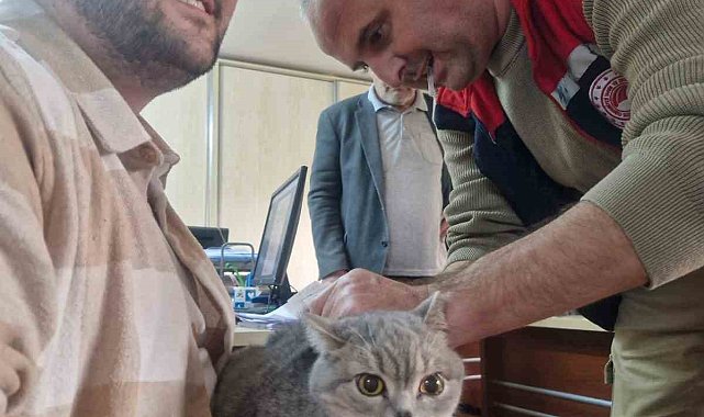 Söke ilçe tarımdan 'çipleme' çağrısı