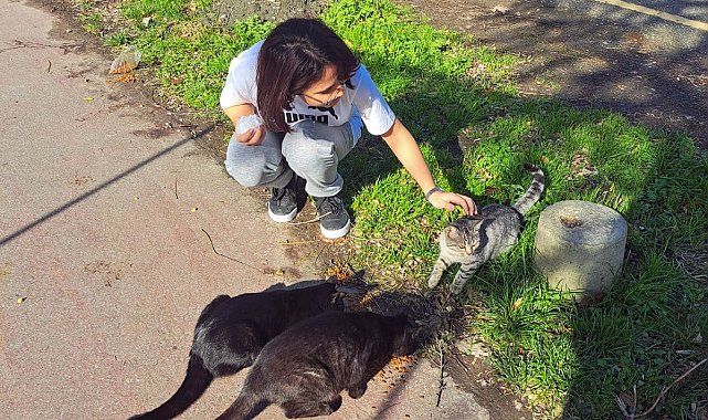 SUBÜ'lü öğrenciler sokak hayvanları için mama dağıttı