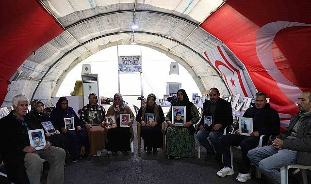 Suriye'de rejimin düşmesiyle Diyarbakır anneleri orada olan çocuklara teslim olmaları çağrısında bulundu
