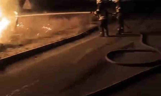 Tarsus'ta aydınlatma direğine çarpan otomobil alev alev yandı