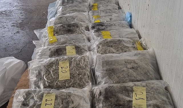 Türkiye'ye getirilmek istenen 400 bin dolarlık esrar sınırda yakalandı
