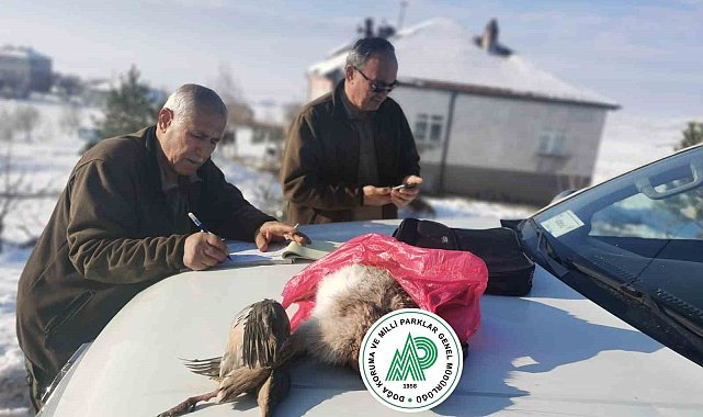 Yasa dışı ava suçüstü