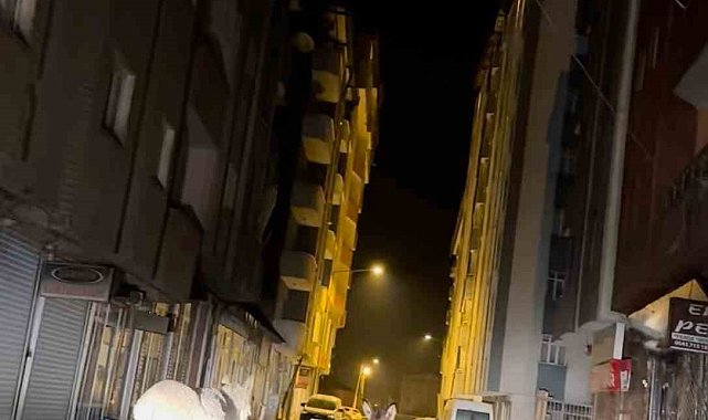 Yüksekova'da caddede yürüyen başıboş eşekler görenleri gülümsetti