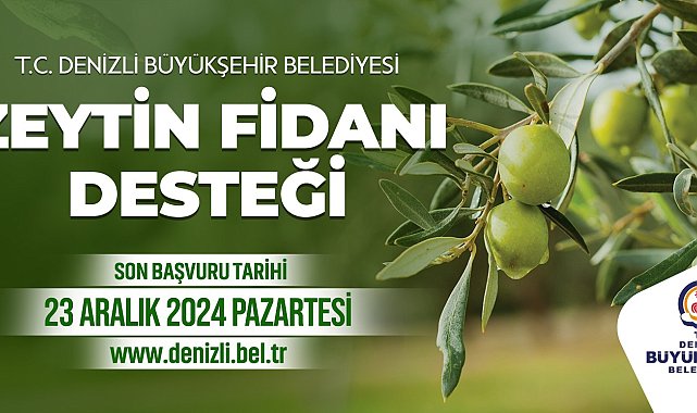 Zeytin fidanı desteği başvuru süresi uzatıldı