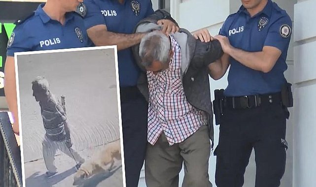 Bakırköy&#039;deki iğrenç olayda karar çıktı: Köpeğe istismarda bulunan sanığın cezası belli oldu