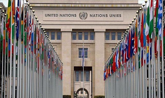 BM&#039;den aşırı sağcı AfD kampanyasına eleştiri