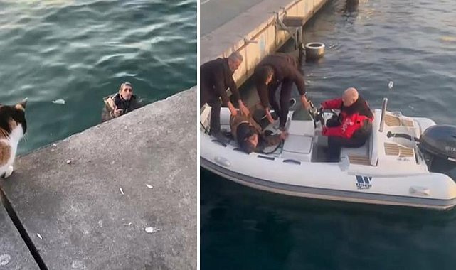 Kadıköy'de denize düştü! Çevredekiler yardımına koştu