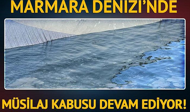 Marmara&#039;da müsilaj kabusu devam ediyor: Artık balıktan daha fazla
