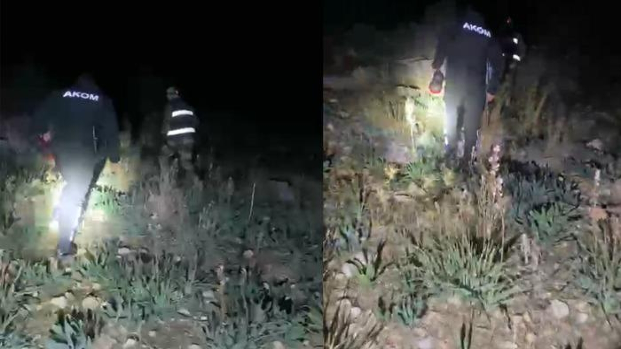 Evden çıktı, bir daha geri dönemedi! Hayvanları eve ulaştı ama yaşlı adamın cansız bedeni arazide bulundu