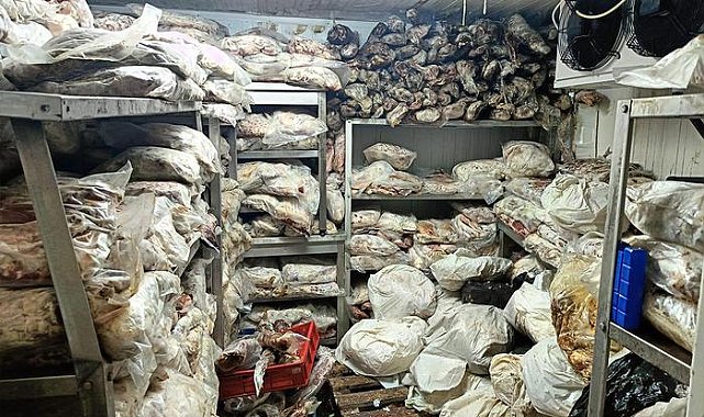 Tam 3,8 ton! Çeşit çeşit bulundu... Operasyonda bozuk et ve balık ele geçirildi