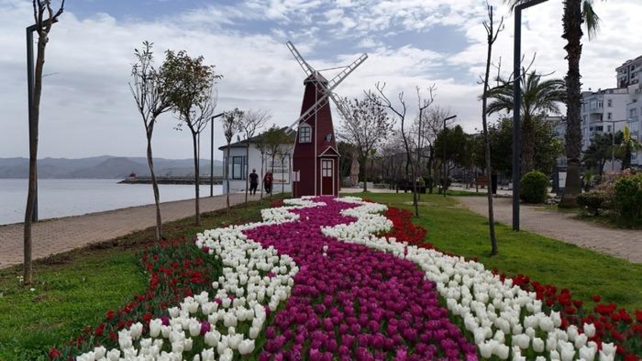 Ordu'da lale devri