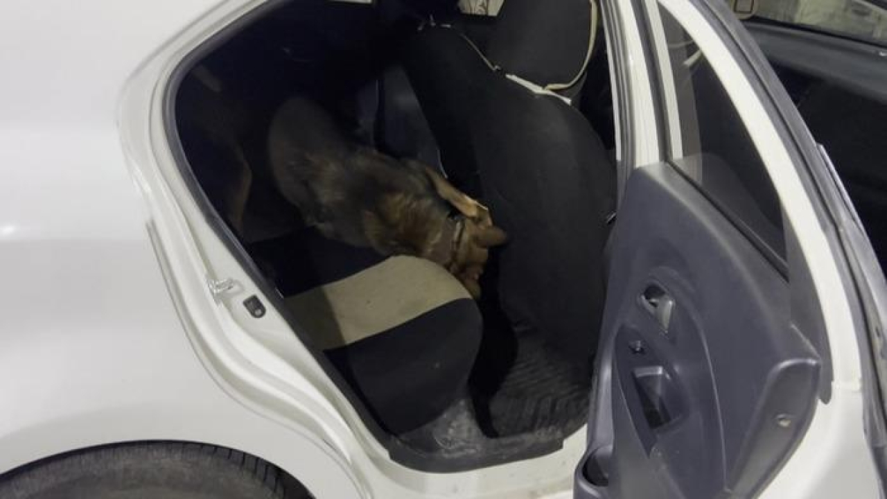 Otomobilin konsolu altındaki uyuşturucuyu 'Mailo' buldu