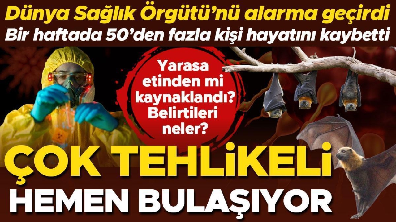 Sağlık yetkililerini alarma geçirdi: Çok tehlikeli, hemen bulaşıyor! Bir haftada 50’den fazla kişi hayatını kaybetti… | Yarasa etinden mi kaynaklandı?