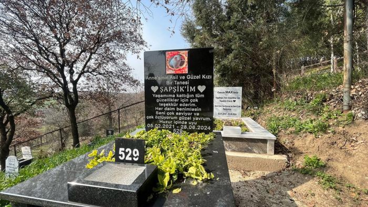 Yer Bursa… Evcil hayvanlar için 2 bin 500 liraya özel mezar yeri!