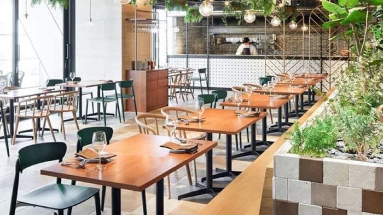 Zorlu'daki lüks restoran Bakanlığın ifşa listesine girdi! Yüzde yüzde manda süte dedikleri üründen inek sütü çıktı