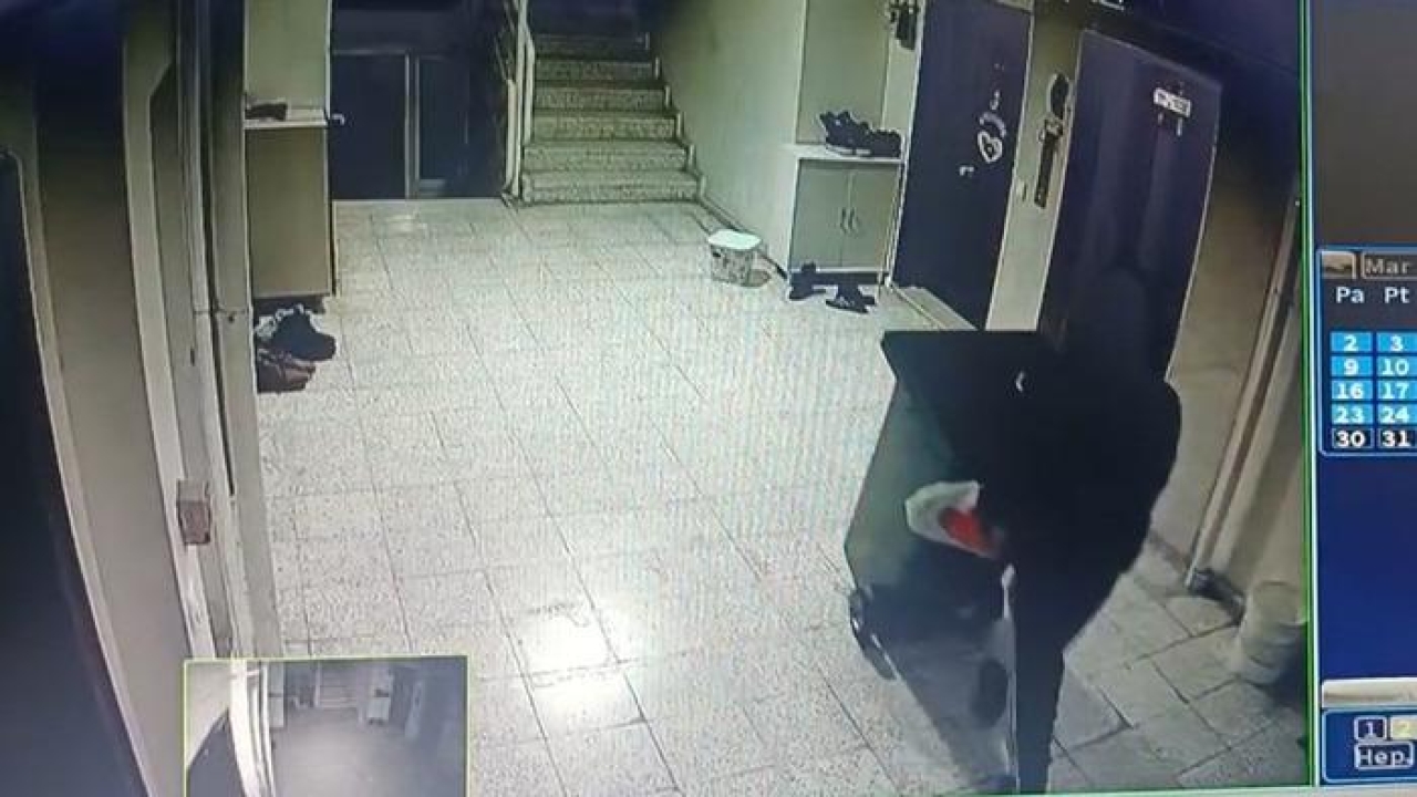 Çöpleri bıraktı, ayakkabıları topladı!