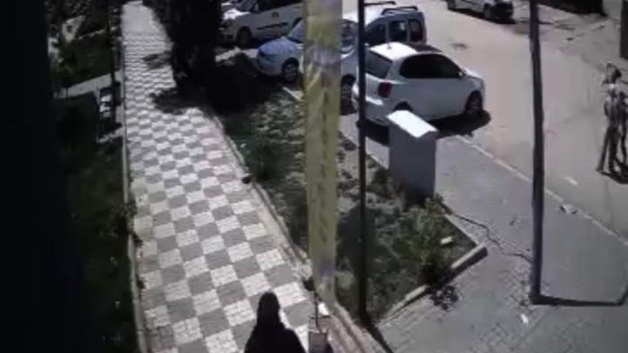 Sokak köpekleri, anne ile kızına saldırdı