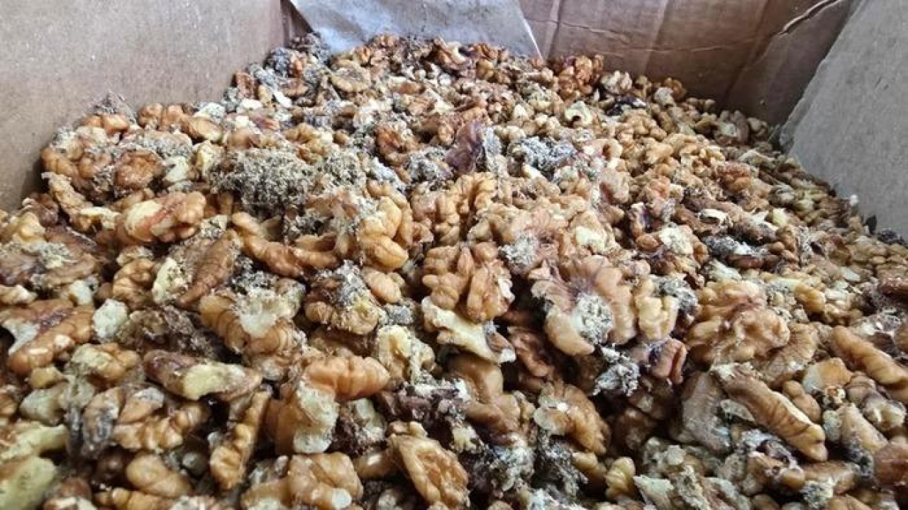Tam 11 ton! Küflenmiş ve kurtlanmış cevizleri vatandaşa yedireceklerdi: O markanın ismi açıklandı