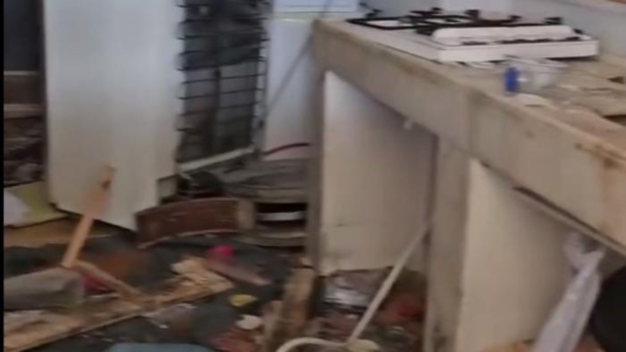 Aç kalan ayılar, belediye başkanının yayla evine girdi