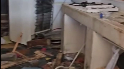 Aç kalan ayılar, belediye başkanının yayla evine girdi