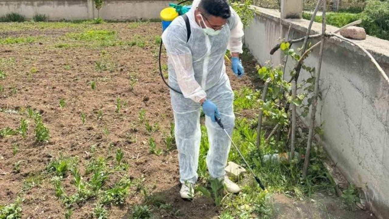 Aydıntepe’de yabancı ot mücadelesi başlatıldı