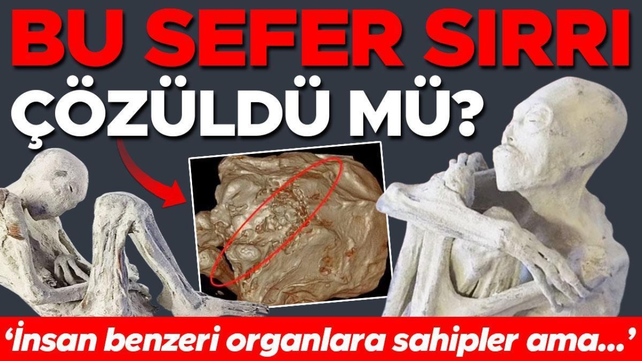 Çölde başlayan gizemli hikâye bilimi karıştırdı: Bu sefer sırrı çözüldü mü? ‘İnsan benzeri organlara sahipler ama...’