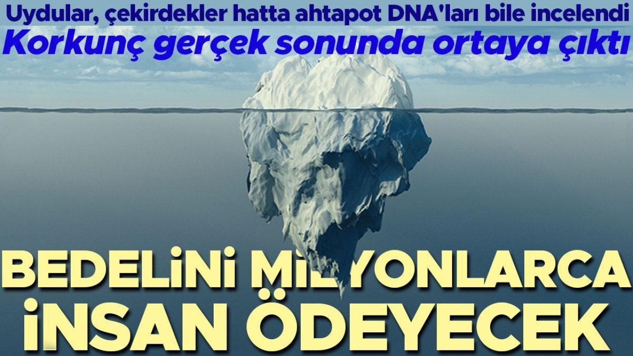 Dünyadaki buz tabakaları için korkunç gerçek ortaya çıktı! Bedelini milyonlarca insan ödeyecek
