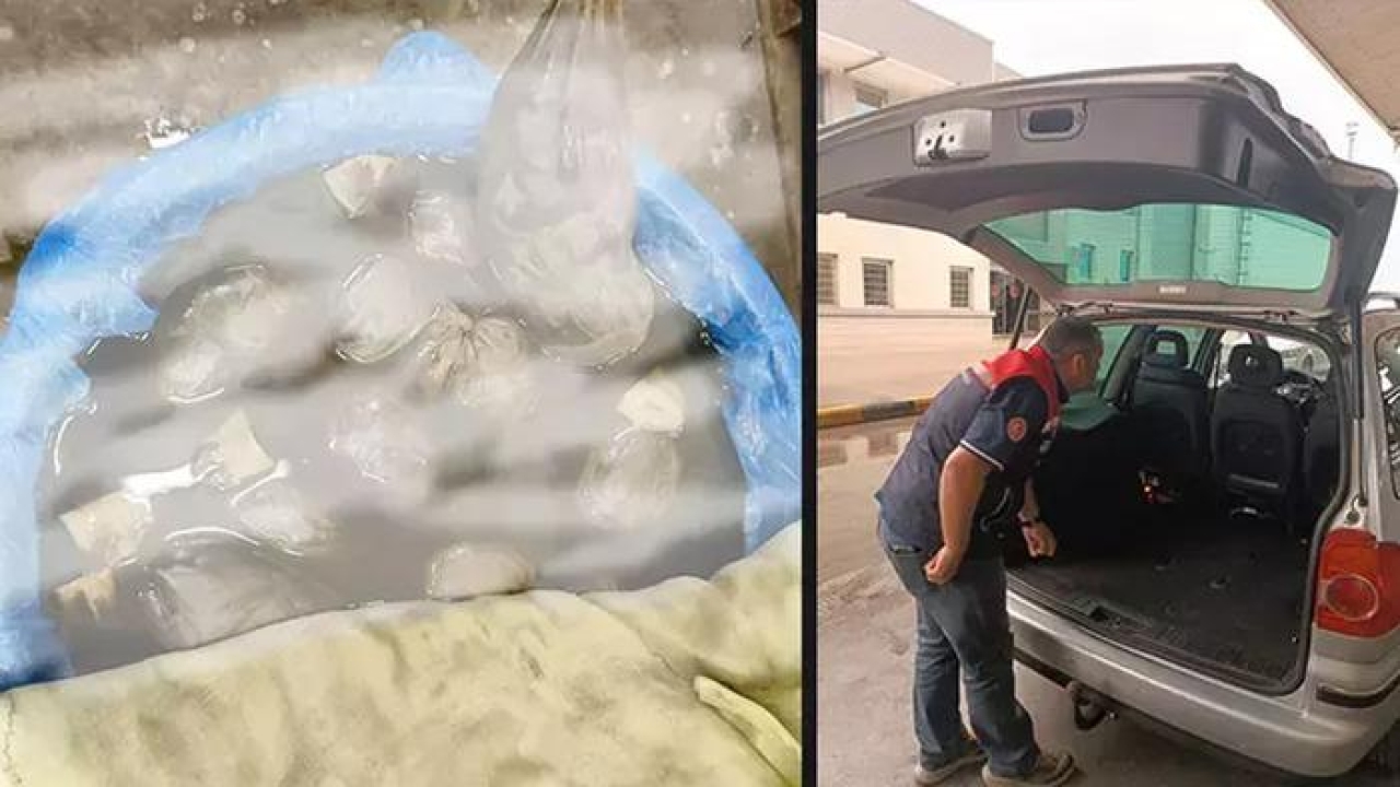 Kapıkule'de kaçak yollarla yurda sokulmak istenen 8 bin adet sülük ele geçirildi