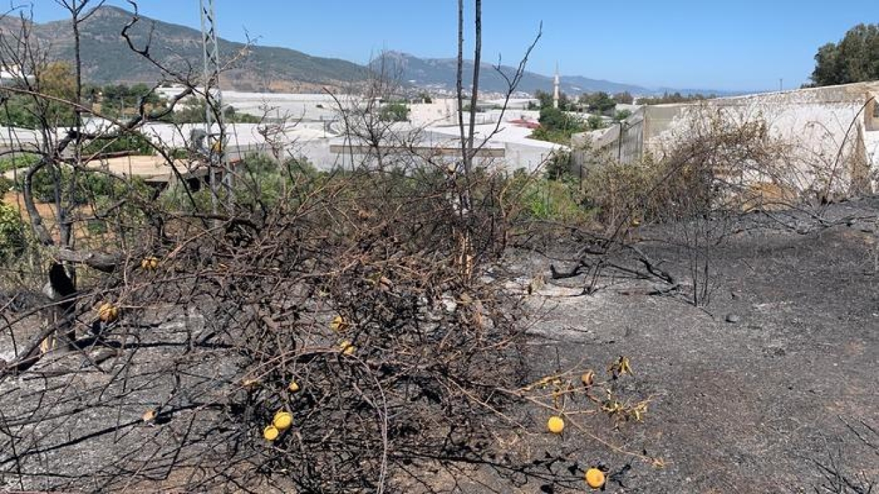 Mersin'de zirai alanda çıkan yangın ormana sıçramadan söndürüldü
