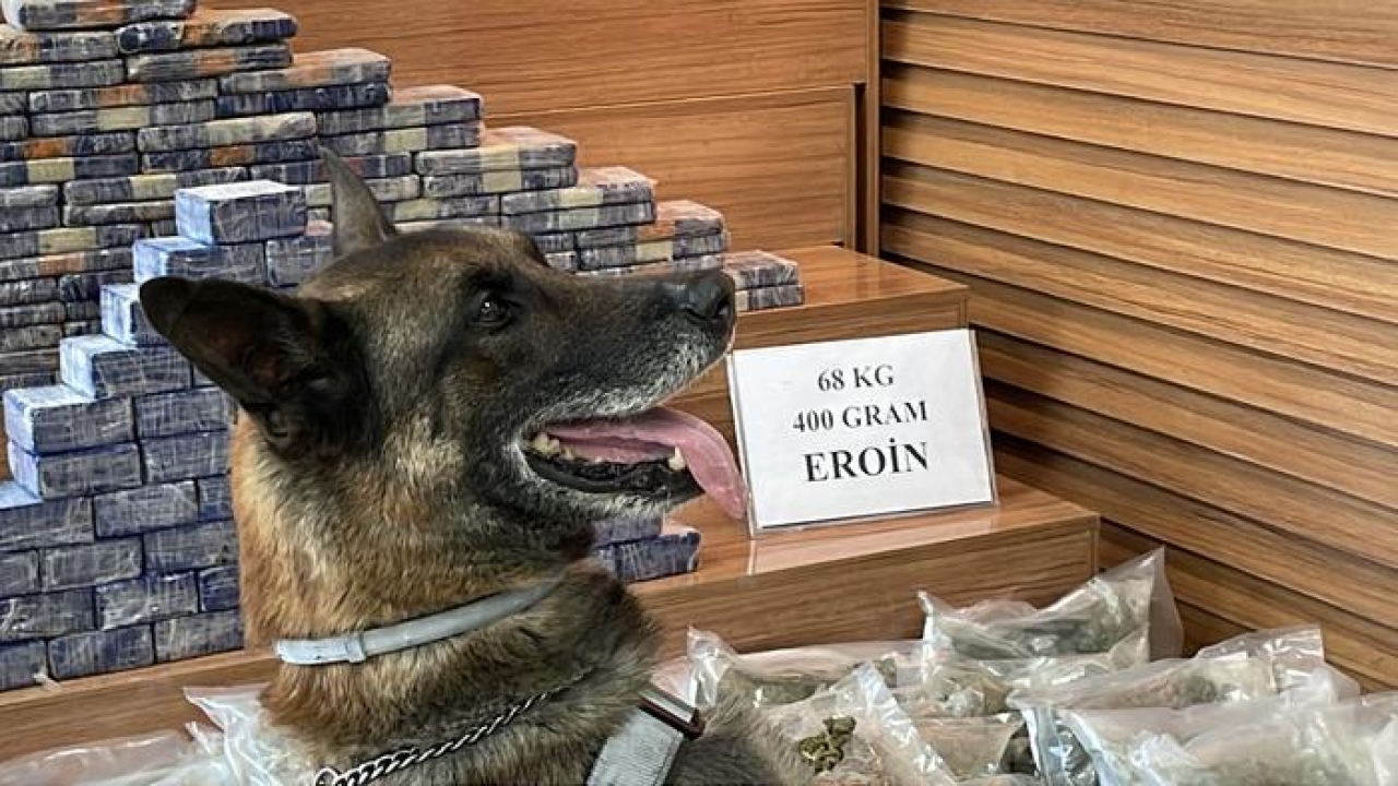 TIR'ın dorsesinde 101 kilo uyuşturucu ele geçirildi; 4 gözaltı
