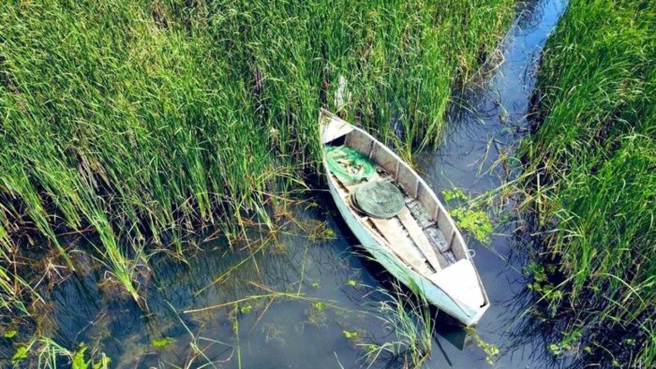 Usulsüz avcılara 67 bin lira ceza