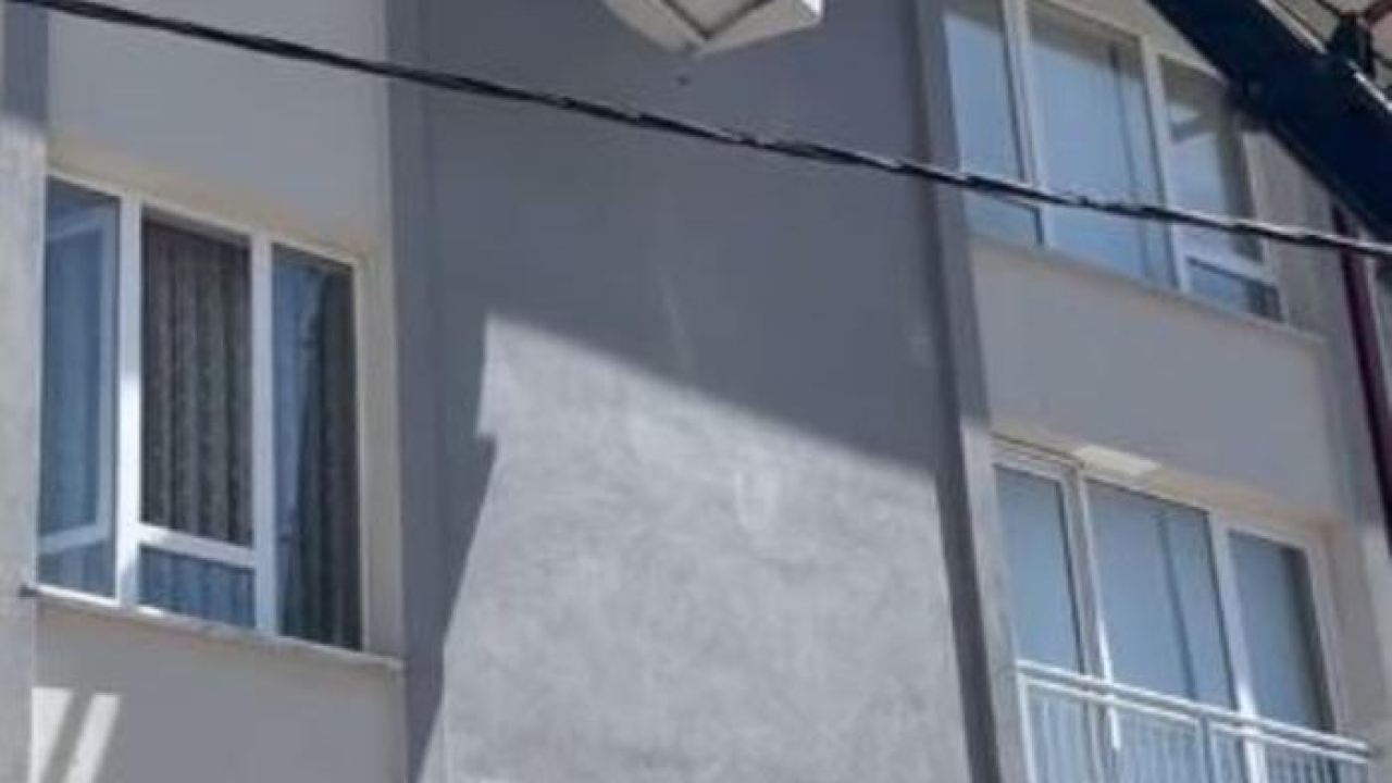 İpe takılarak mahsur kalan kuş kurtarıldı