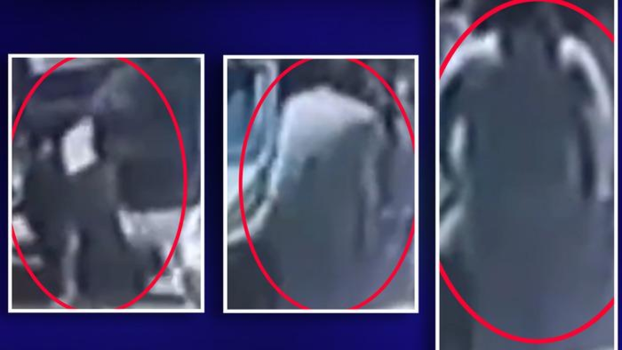 Mirastan haraç istediler, alamayınca kurşun yağdırdılar! Hastanedeki suikast girişiminde 'Daltonlar' izi