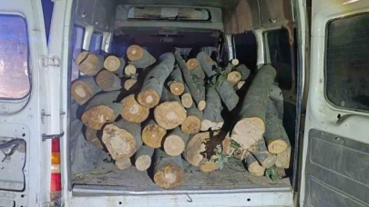 1 ton kaçak orman ürünü ele geçirildi