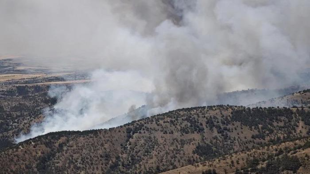 Ankara'da korkutan yangın: ODTÜ ormanı ve Eymir gölü civarında alarm!