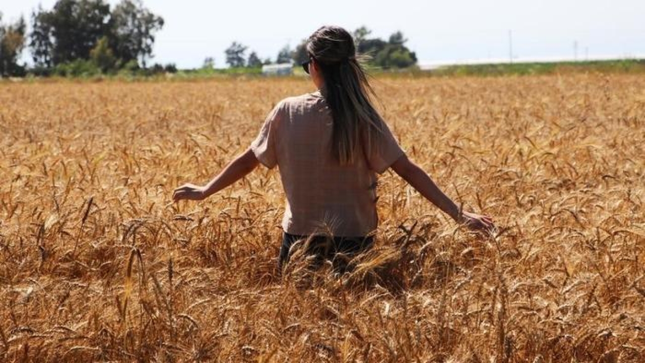 Aydıntepe’de termometreler 37 dereceyi gösterdi