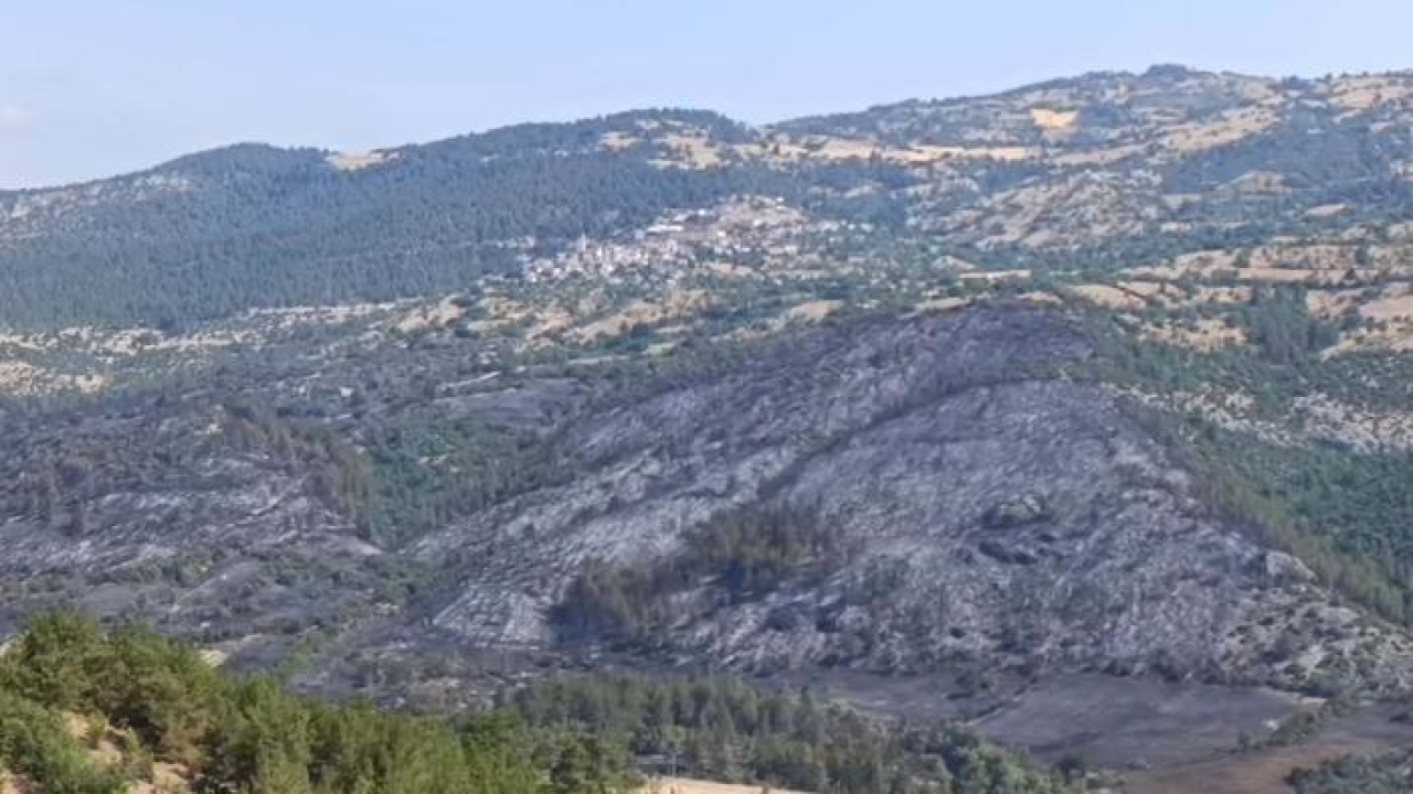 Balıkesir'deki orman yangını 2'nci gününde