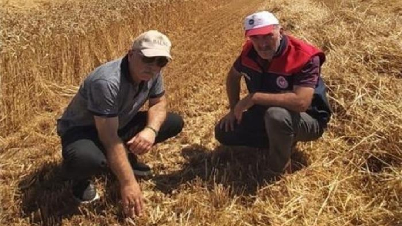 Düzce’de verimli hasat için yerinde denetim