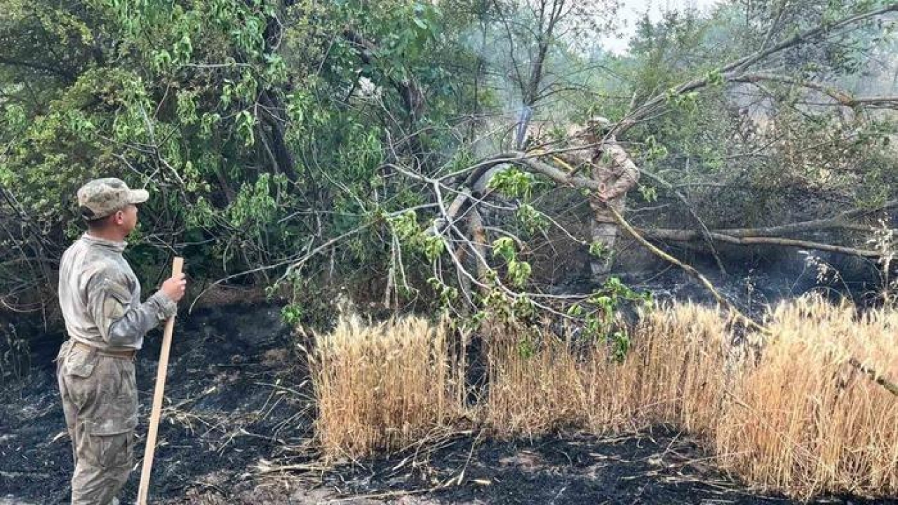 Eskişehir’den Bilecik yangınına giden jandarma ekipleri döndü