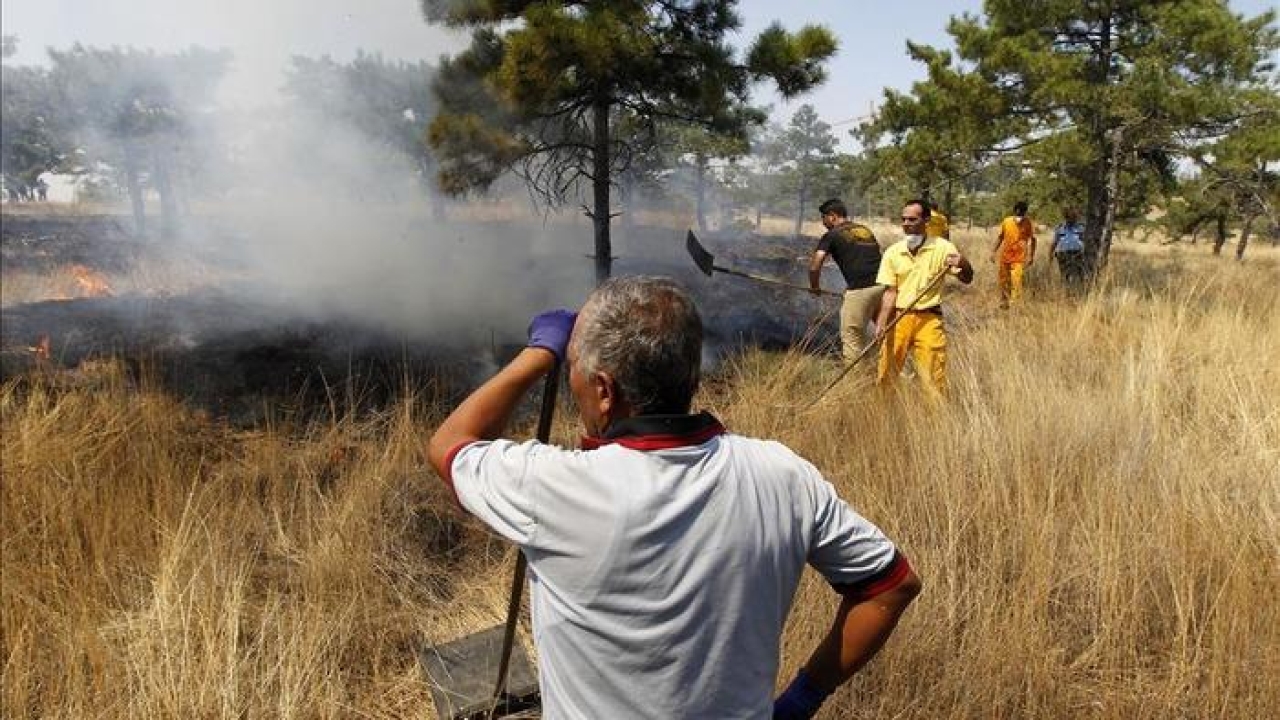 Eymir Gölü kıyısında korkutan yangın: ODTÜ Ormanı tehdit altında