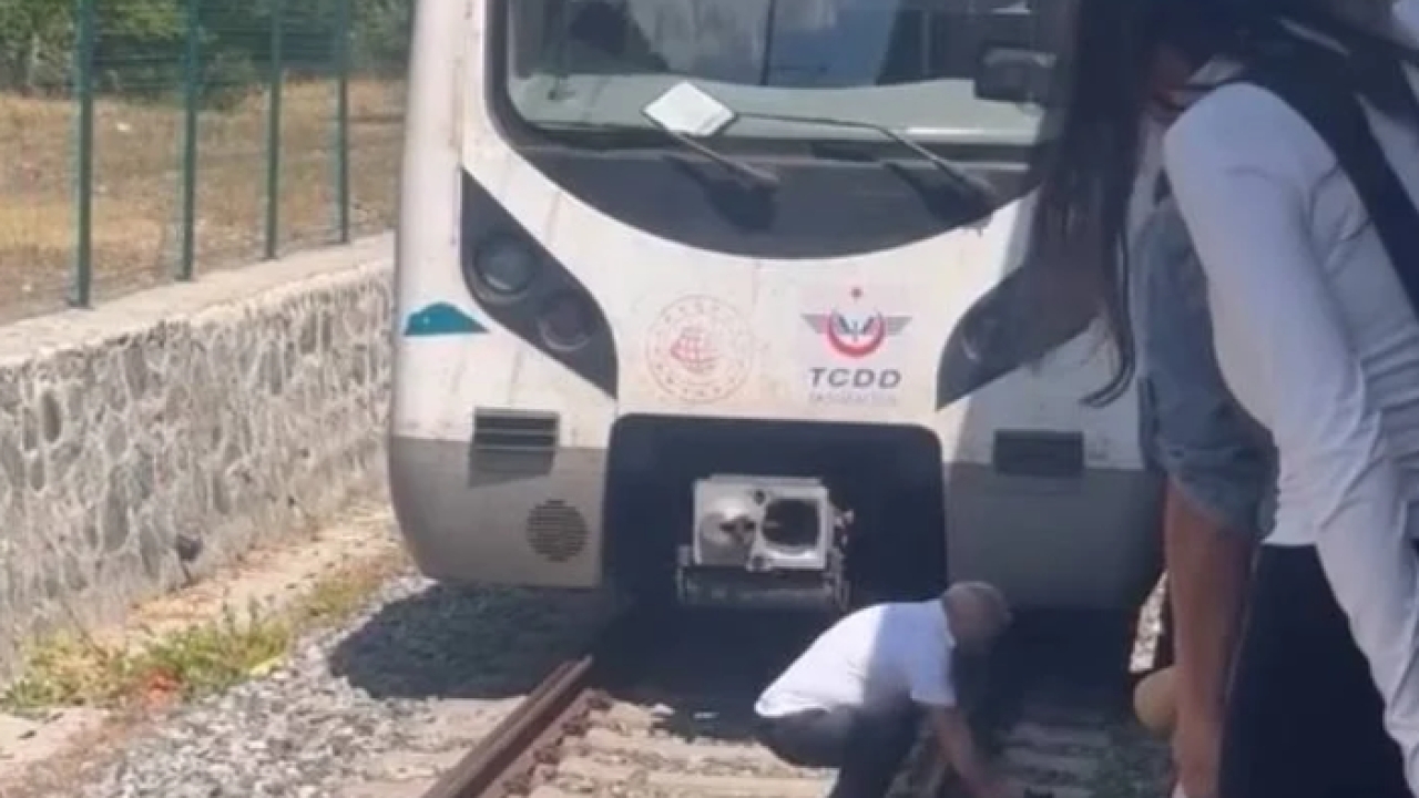 Raylara düşen kediyi kurtarmak için treni durdurdu, raylara indi