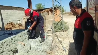 Şanlıurfa’da betonun altında mahsur kalan 2 kedi kurtarıldı