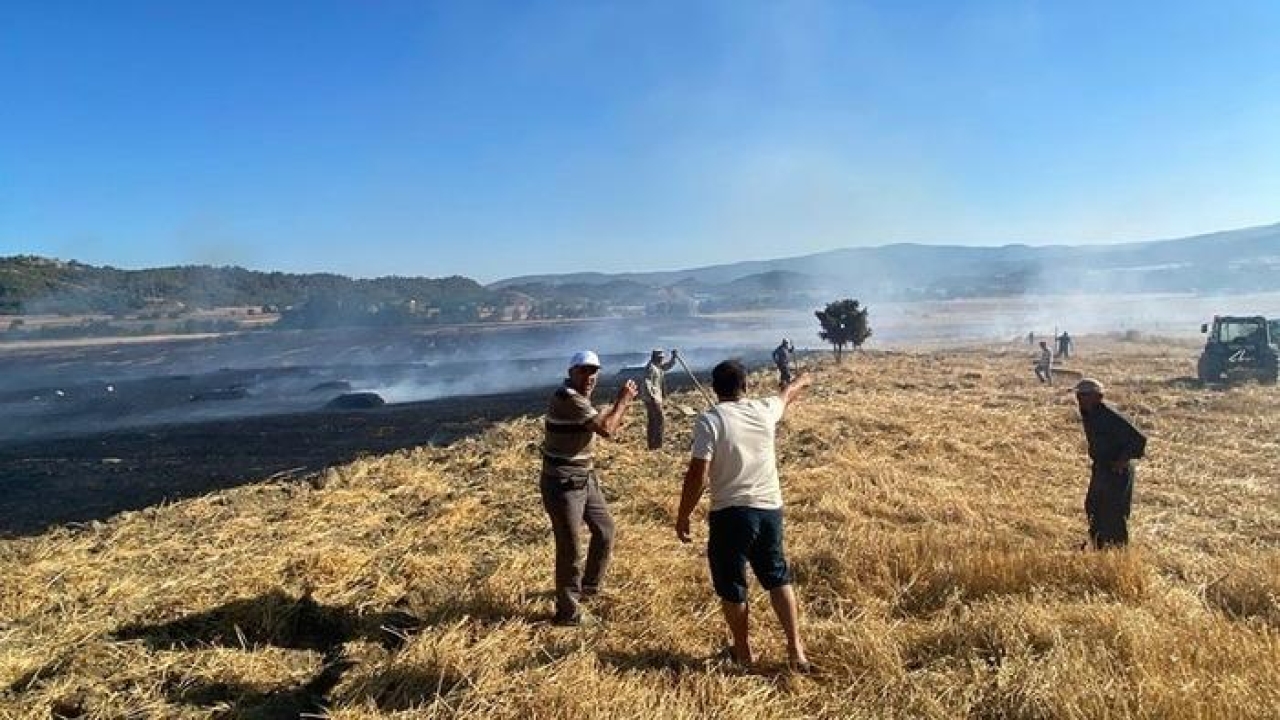 Sinop’ta anız yangını: 60 balya saman kül oldu