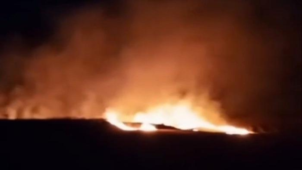 Tekirdağ’da iki mahallede çıkan yangında 20 dönüm buğday tarlası kül oldu